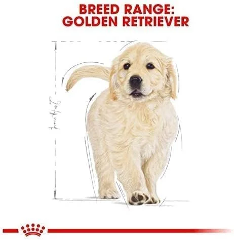 غذای خشک سگ رویال کنین نژاد گلدن رتریور پاپی 12 کیلوگرمی