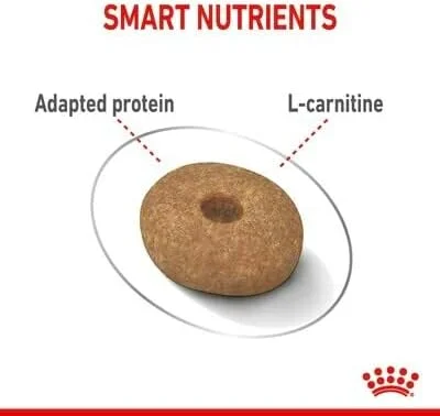 غذای خشک سگ بالغ نژاد کوچک رویال کنین مدل CCN Mini Light Weight Care وزن 3 کیلوگرم غذای خشک سگ بالغ نژاد کوچک رویال کنین مدل CCN Mini Light Weight Care وزن 3 کیلوگرم