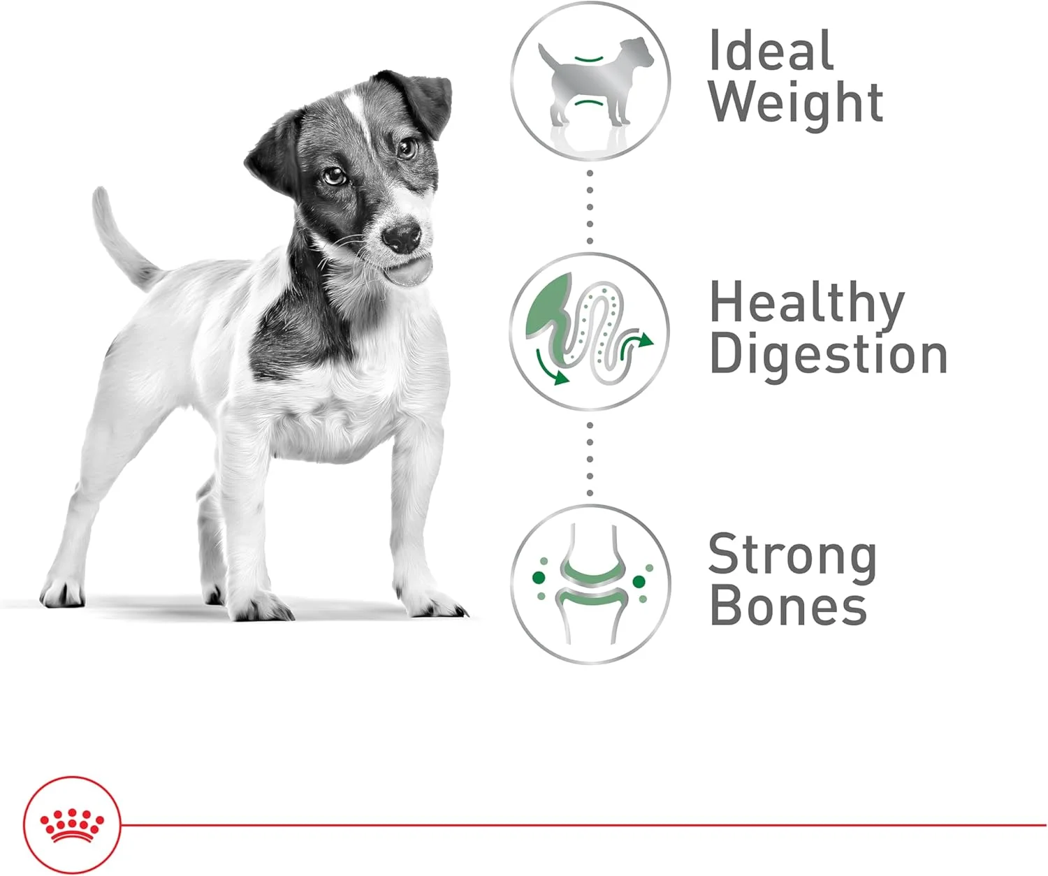 غذای خشک سگ بالغ نژاد کوچک رویال کنین، کیسه 14 پوندی