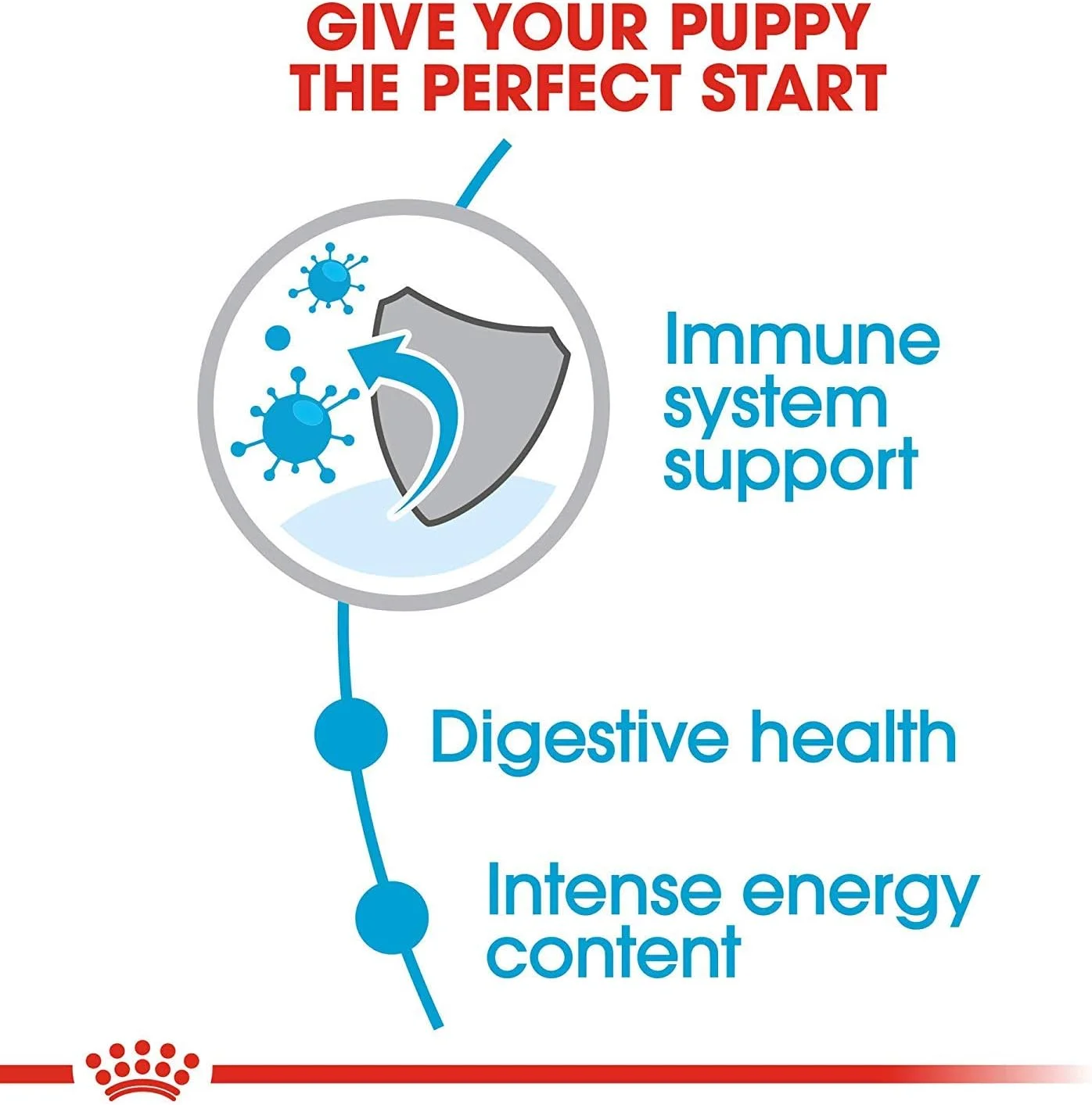 غذای خشک سگ رویال کنین مخصوص توله سگ نژاد کوچک، کیسه 13 پوندی