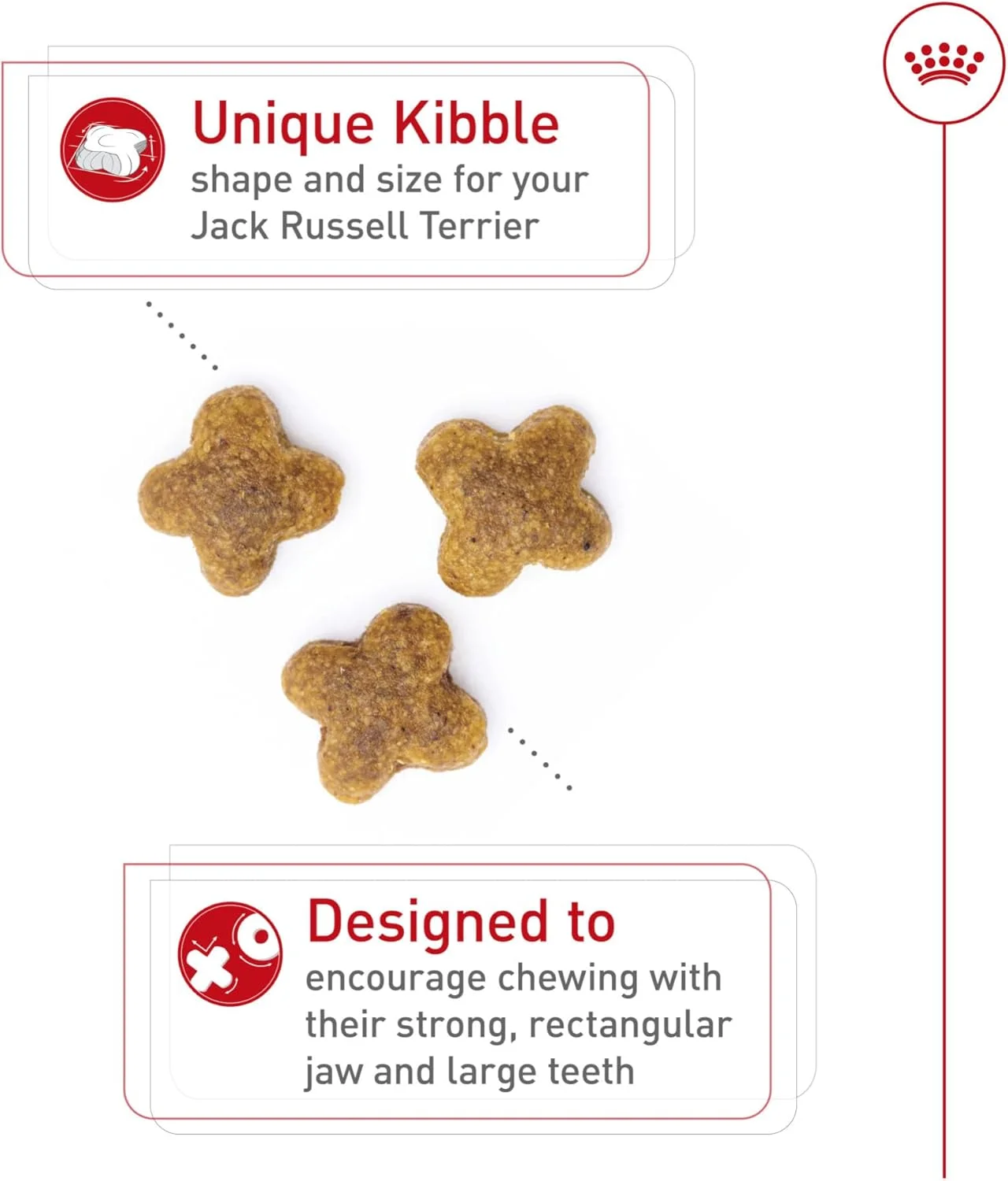 غذای خشک سگ بالغ نژاد جک راسل تریر رویال کنین، کیسه 10 پوندی