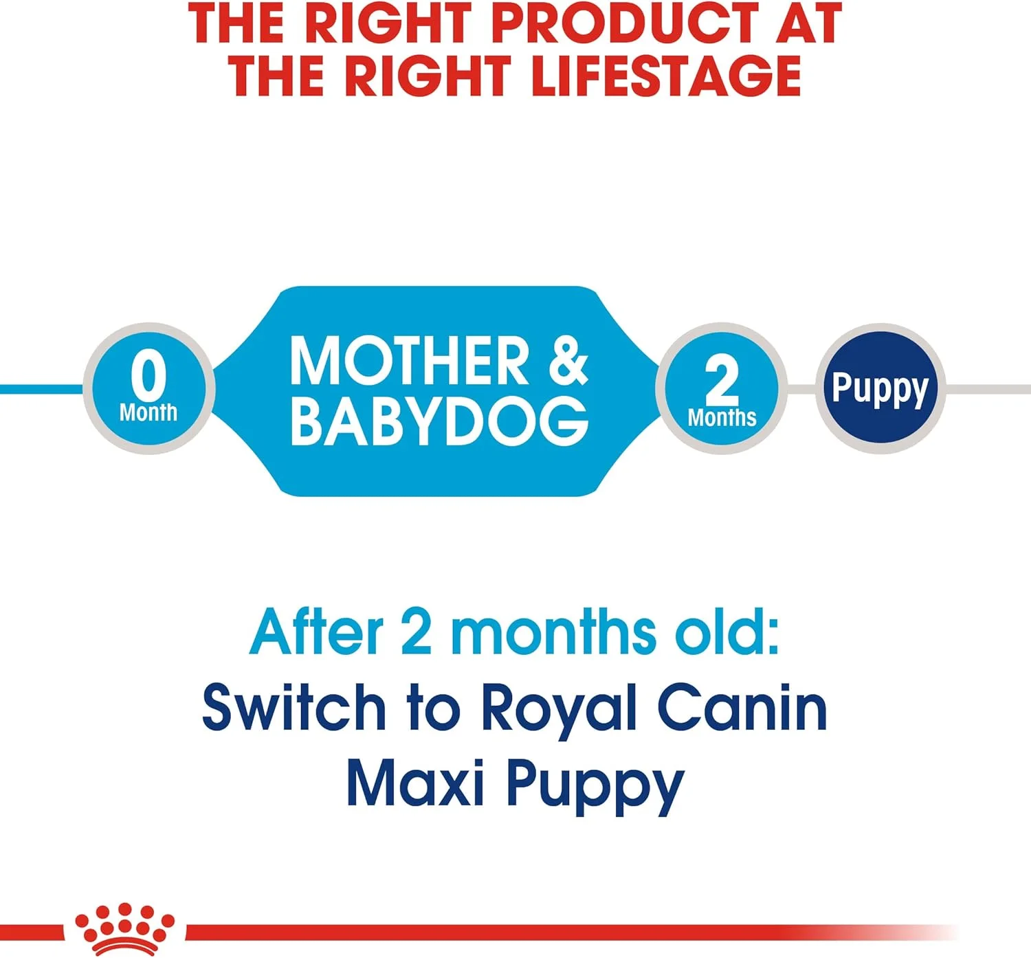 غذای خشک سگ مادر و توله نژاد بزرگ رویال کنین مدل Shn Maxi Starter وزن 15 کیلوگرم