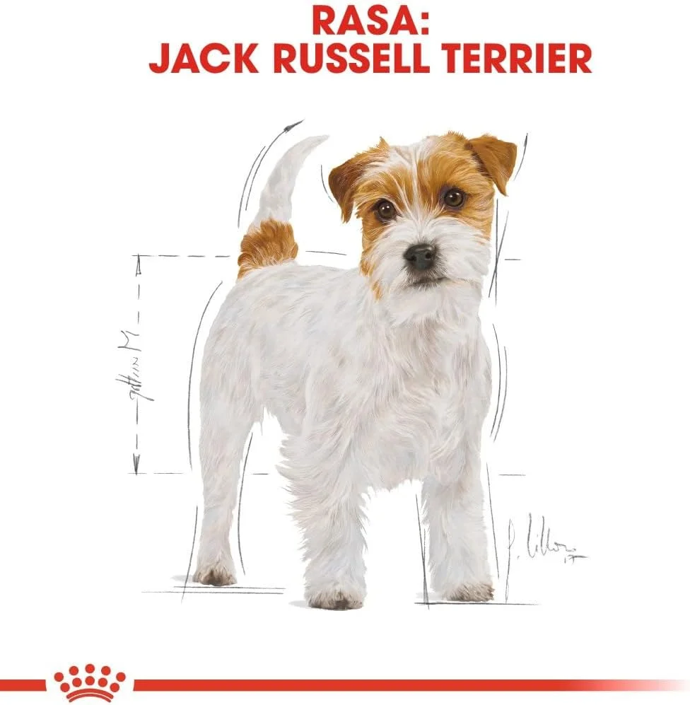 غذای خشک سگ بالغ نژاد جک راسل تریر رویال کنین - 1.5 کیلوگرم