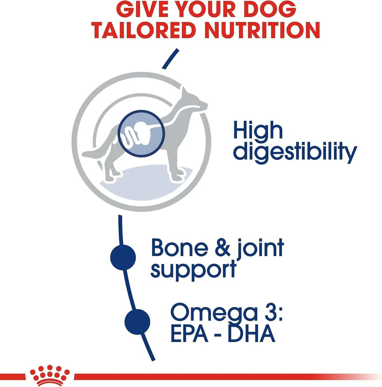 غذای خشک سگ بالغ نژاد بزرگ رویال کنین مدل Shn Maxi Adult وزن 15 کیلوگرم، چند رنگ، 3182550732154، غذای خشک سگ بالغ نژاد بزرگ