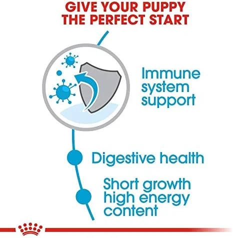 غذای خشک سگ رویال کنین مدل Shn Medium Puppy، سایز 10 کیلوگرم، غذای مغذی برای توله سگ، چند رنگ، 02Rcmedj10