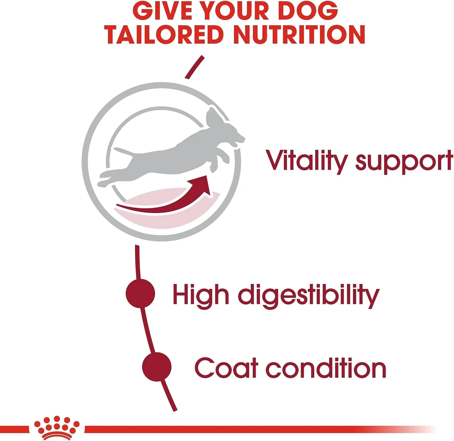 غذای خشک سگ نژاد متوسط بالغ بالای 7 سال رویال کنین مدل SHN Medium Adult 7+ وزن 10 کیلوگرم، چند رنگ، 35226