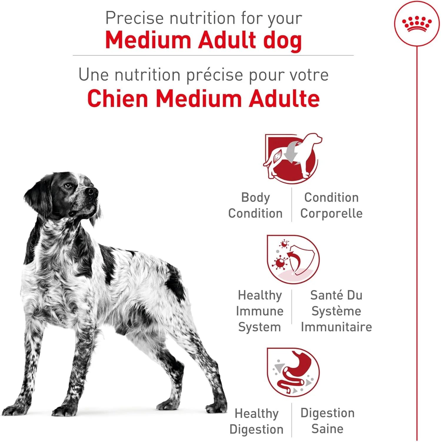 غذای خشک سگ بالغ نژاد متوسط رویال کنین، 30 پوند 517430