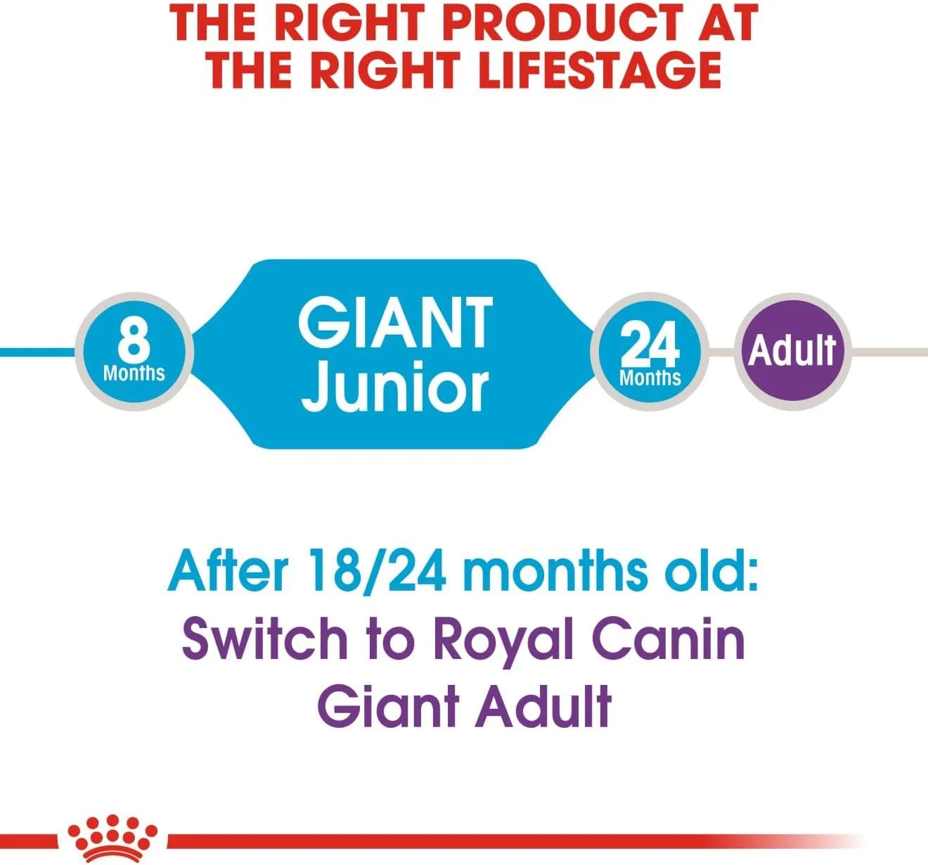 غذای سگ رویال کنین SHN جاینت جونیور 15 کیلوگرمی، تغذیه سالم، چند رنگ، 02RCGJ15، غذای سگ جاینت جونیور