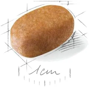 غذای خشک سگ بالغ نژاد مالتیز رویال کنین Bhn، 1.5 کیلوگرم