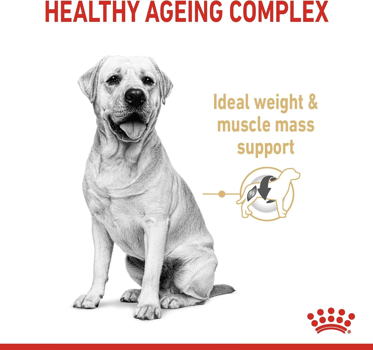 غذای خشک سگ نژاد لابرادور رتریور بالغ بالای 5 سال رویال کنین، 3000 گرم