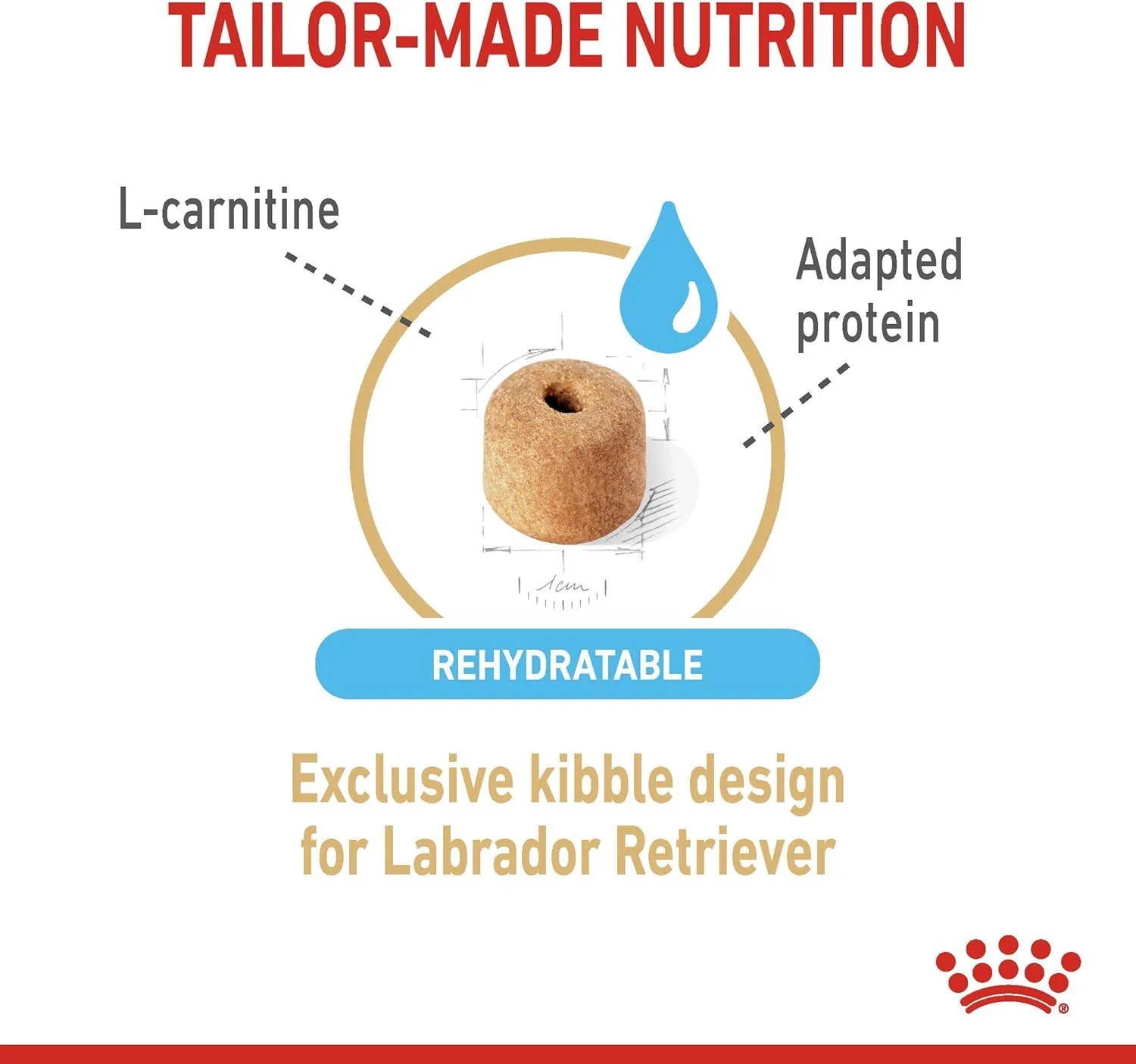 غذای خشک سگ نژاد لابرادور رتریور بالغ بالای 5 سال رویال کنین، 3000 گرم