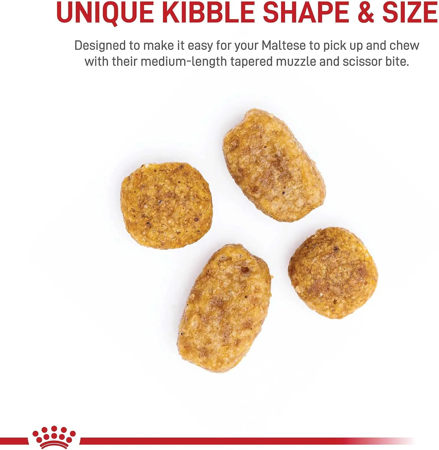 غذای خشک سگ بالغ نژاد مالتز رویال کنین، کیسه 10 پوندی