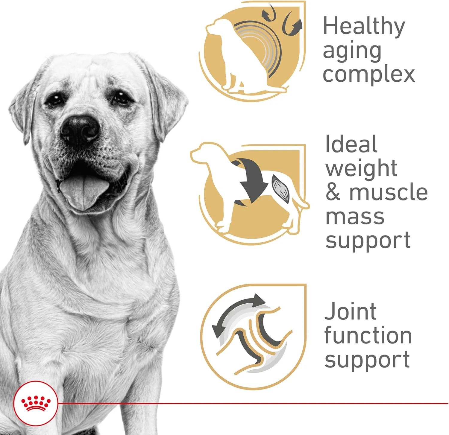 غذای خشک سگ بالغ نژاد لابرادور رتریور بالای 5 سال رویال کنین BHN، کیسه 28 پوندی