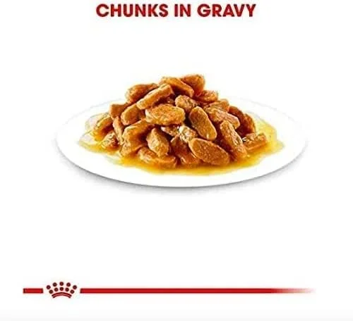 غذای مرطوب سگ رویال کنین سایز مدیوم پاپی - 12 پاکت