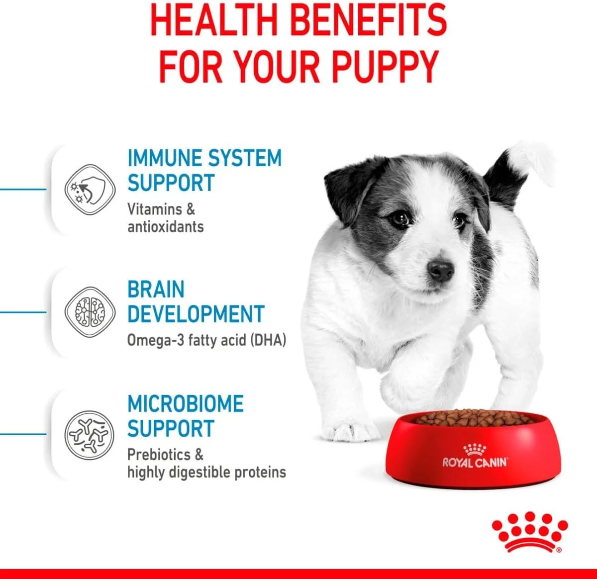 غذای خشک سگ رویال کنین سایز هلث نوتریشن مینی پاپی ۸ کیلوگرم