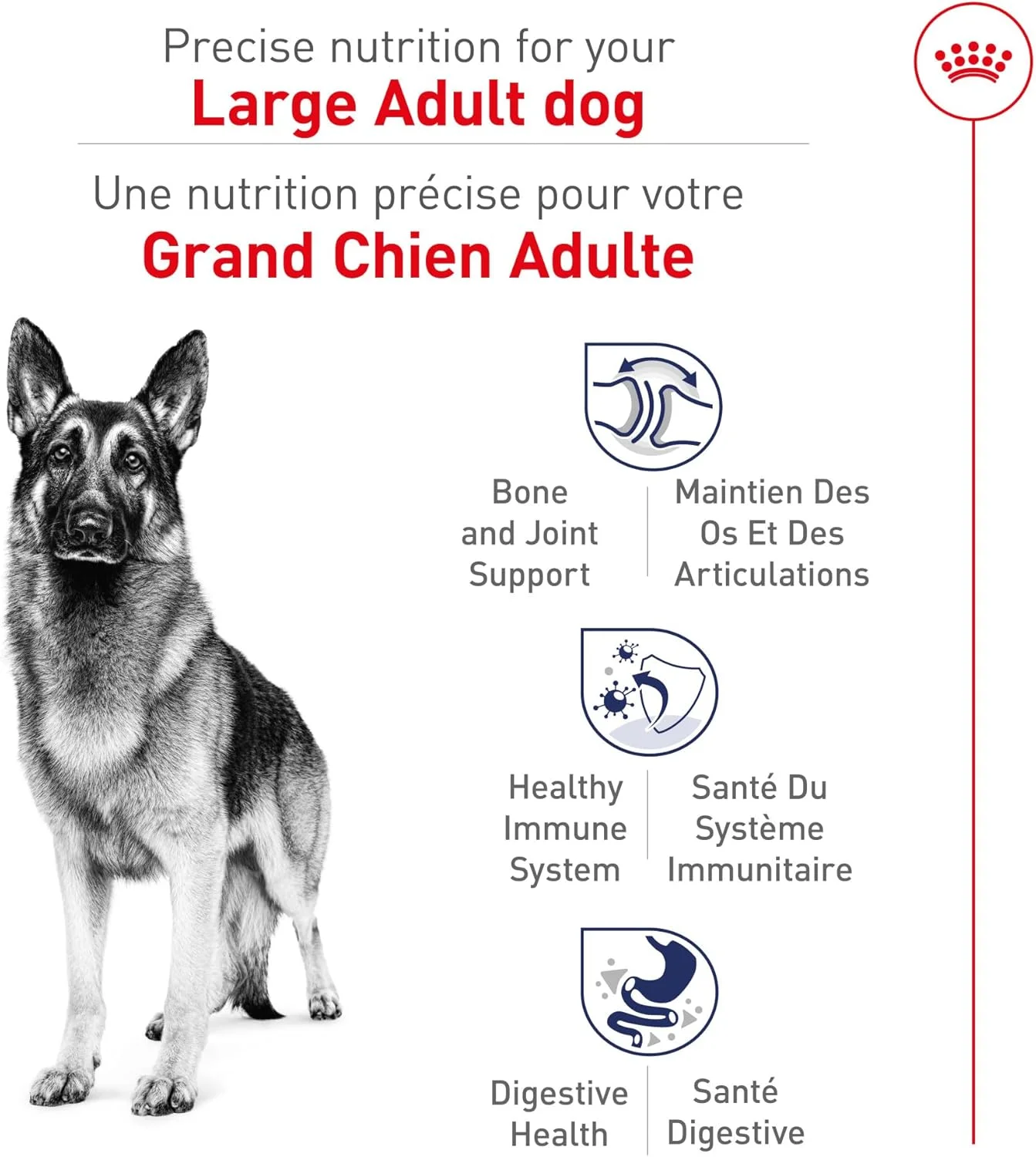 غذای خشک سگ بالغ نژاد بزرگ رویال کنین، 17 پوند