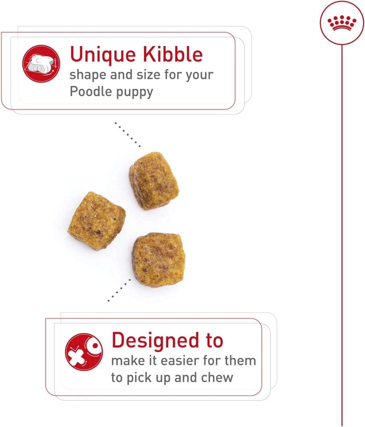 غذای خشک سگ توله نژاد پودل رویال کنین، 1.13 کیلوگرم