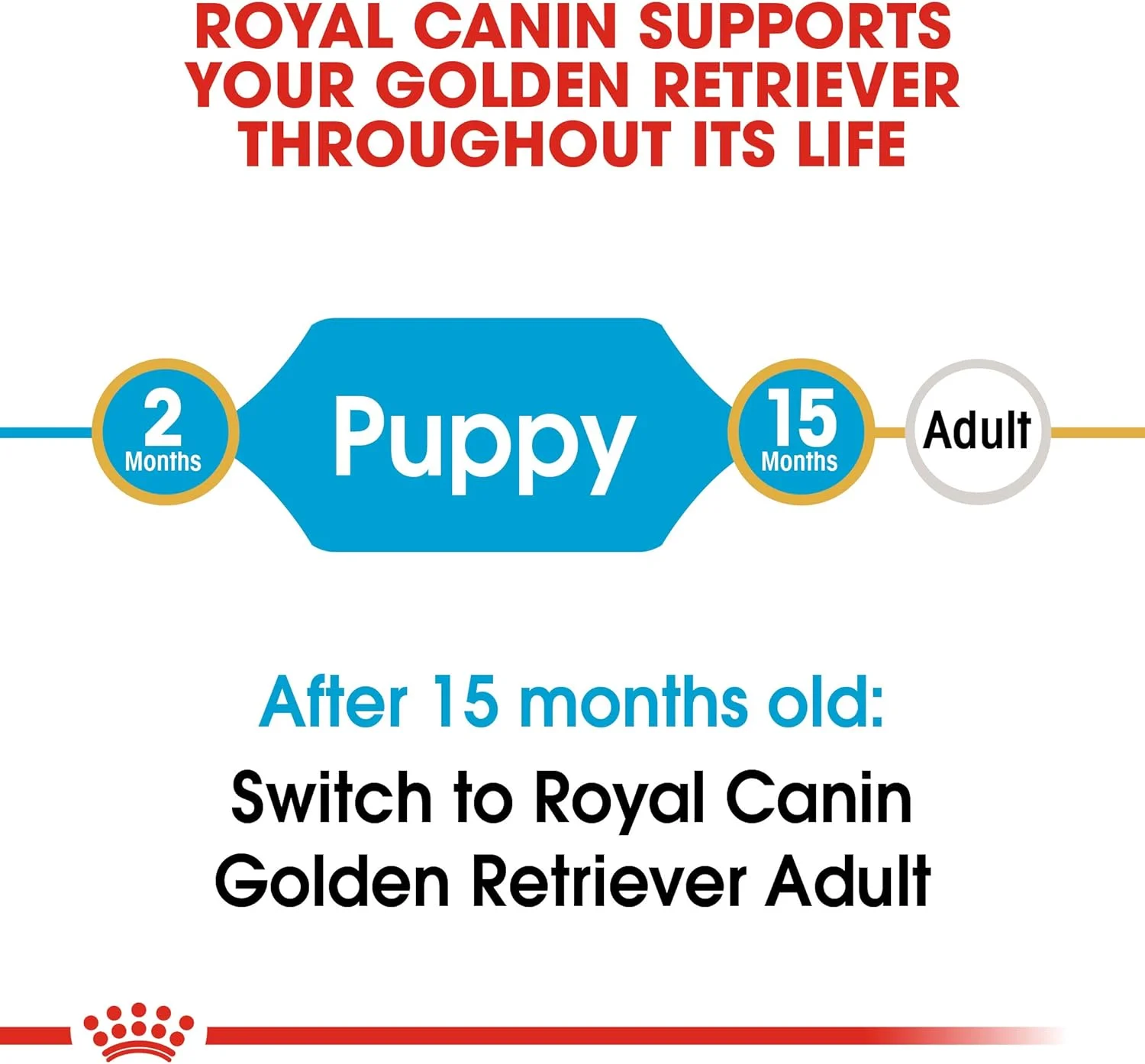 غذای خشک توله سگ گلدن رتریور رویال کنین - 12 کیلوگرم غذای خشک توله سگ گلدن رتریور رویال کنین - 12 کیلوگرم