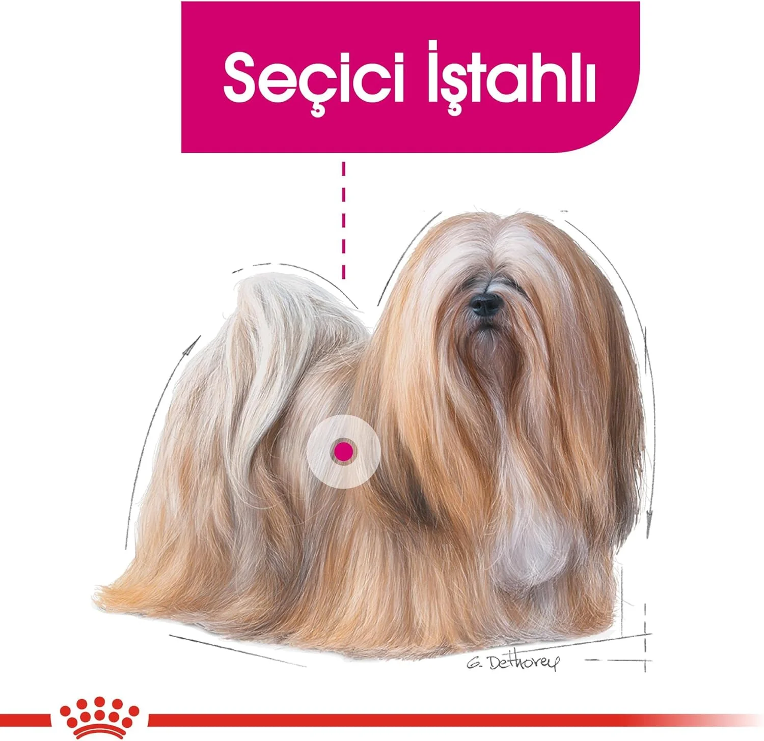 غذای مرطوب سگ رویال کنین اگزایژنت برای تمامی نژادها - 85 گرم