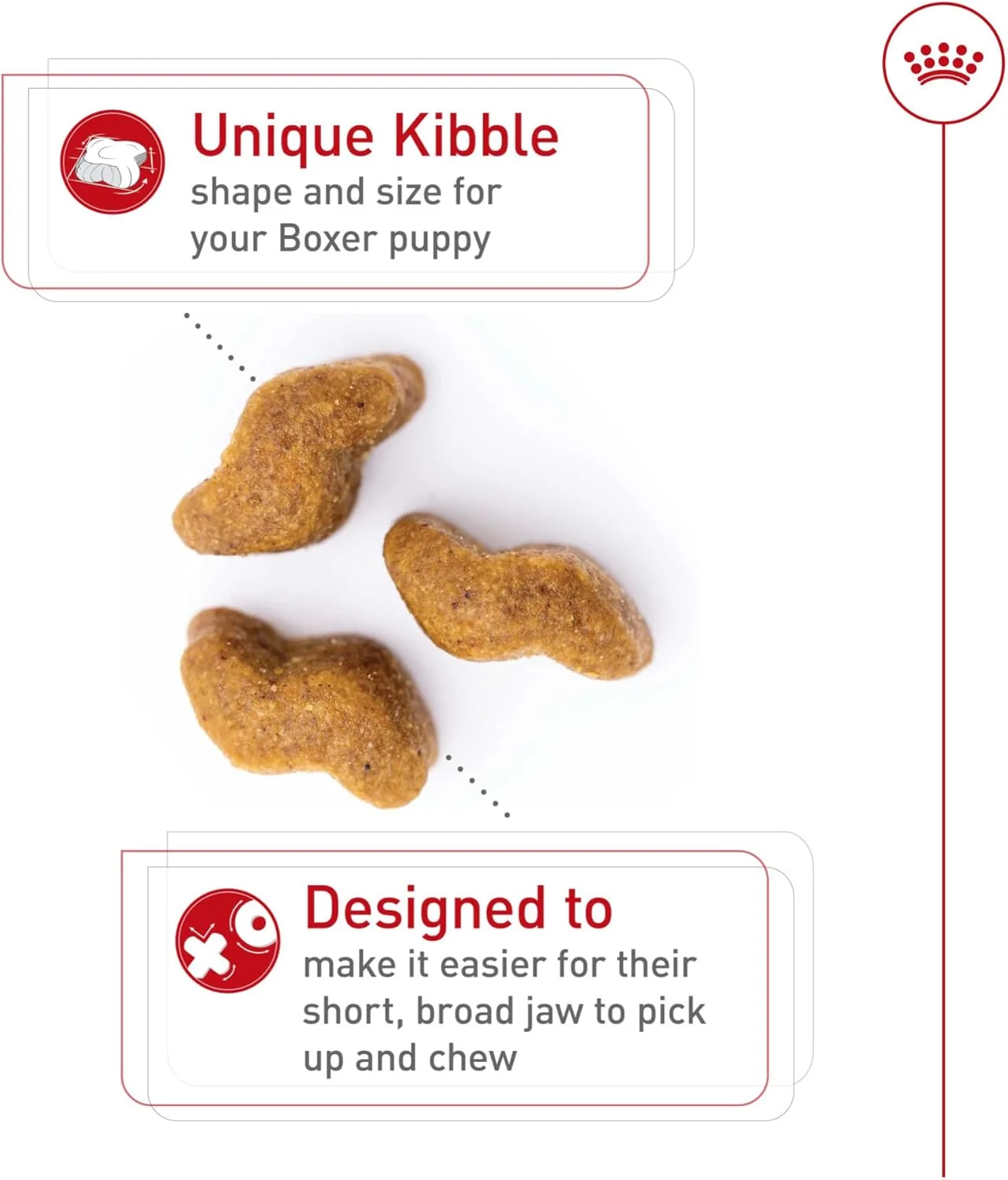 غذای خشک سگ نژاد باکسر توله رویال کنین، کیسه 30 پوندی