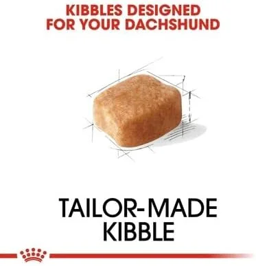 غذای خشک سگ بالغ نژاد داشهوند رویال کنین - 1.5 کیلوگرم