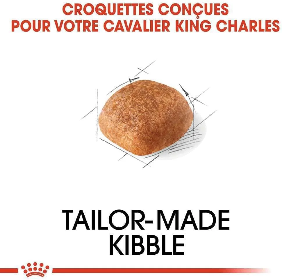 غذای خشک سگ بالغ نژاد کاوالیر کینگ چارلز رویال کنین BHN وزن 1.5 کیلوگرم