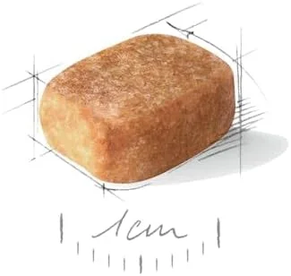 غذای خشک سگ بالغ نژاد چی‌واوا رویال کنین Bhn، 1.5 کیلوگرم، چند رنگ، 02Rcch1.5