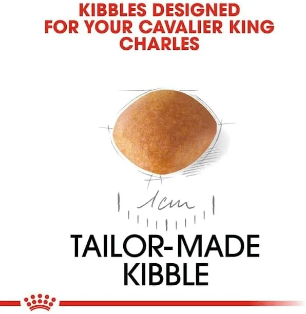 غذای خشک توله سگ نژاد کاوالیر کینگ چارلز اسپانیل رویال کنین - 1.5 کیلوگرم