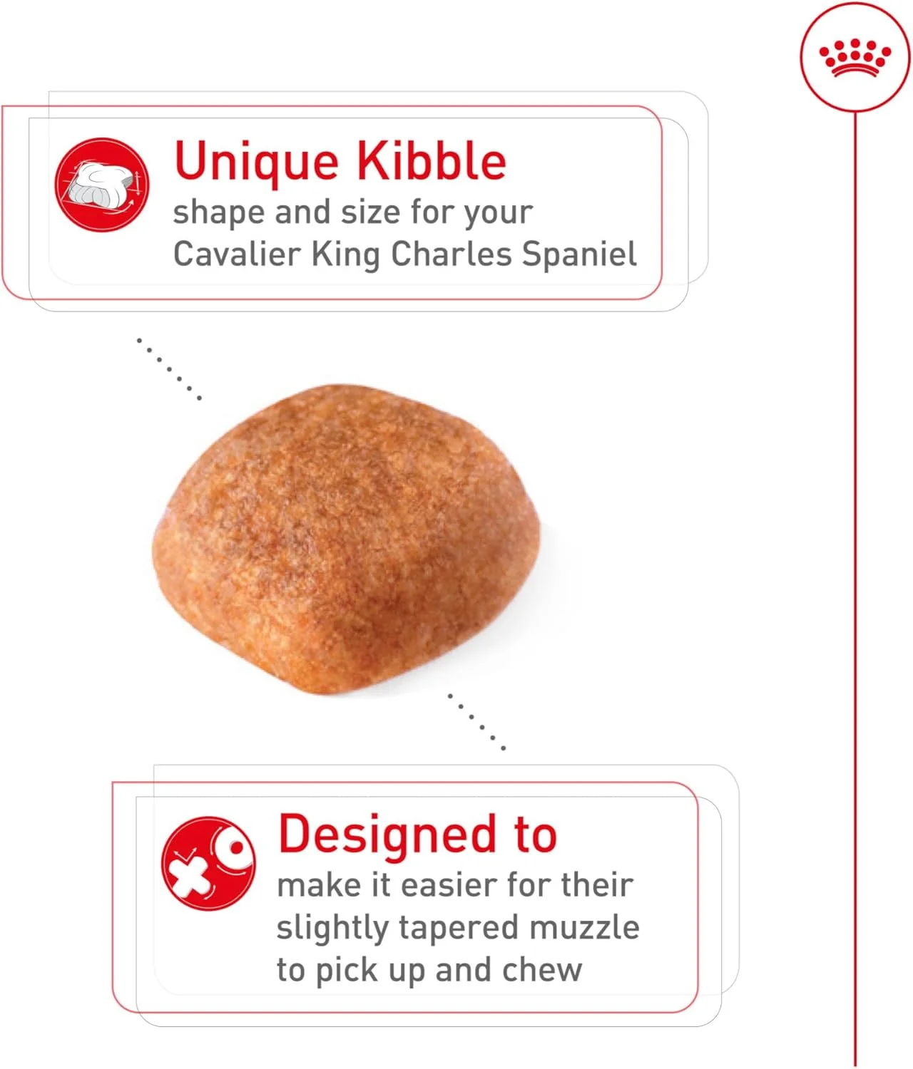 غذای خشک سگ بالغ نژاد کاوالیر کینگ چارلز اسپانیل رویال کنین، کیسه 10 پوندی