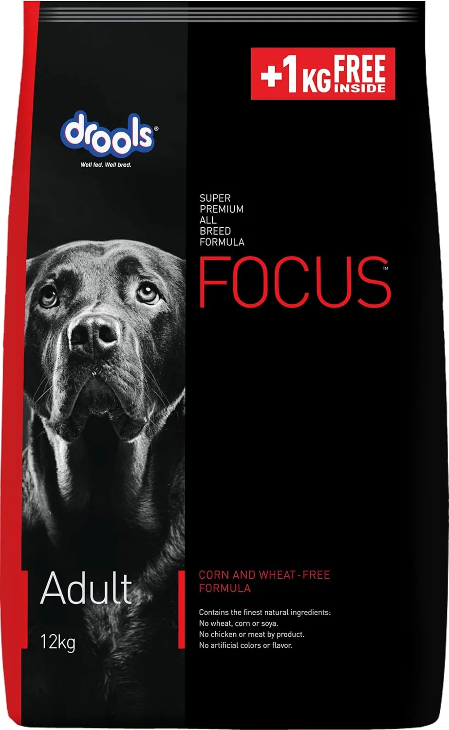 غذای خشک سگ بالغ درولز فوکوس پریمیوم، طعم مرغ، 12 کیلوگرم | 40% مرغ واقعی، پروتئین بالا برای استخوان ها و عضلات قوی، امگا 3 و 6 برای پوست سالم، آنتی اکسیدان های طبیعی برای ایمنی