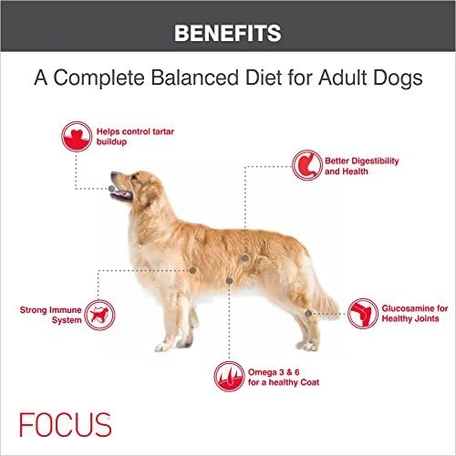 غذای خشک سگ بالغ درولز فوکوس سوپر پریمیوم با طعم مرغ، بسته 8 کیلوگرمی غذای خشک سگ بالغ درولز فوکوس سوپر پریمیوم با طعم مرغ، بسته 8 کیلوگرمی