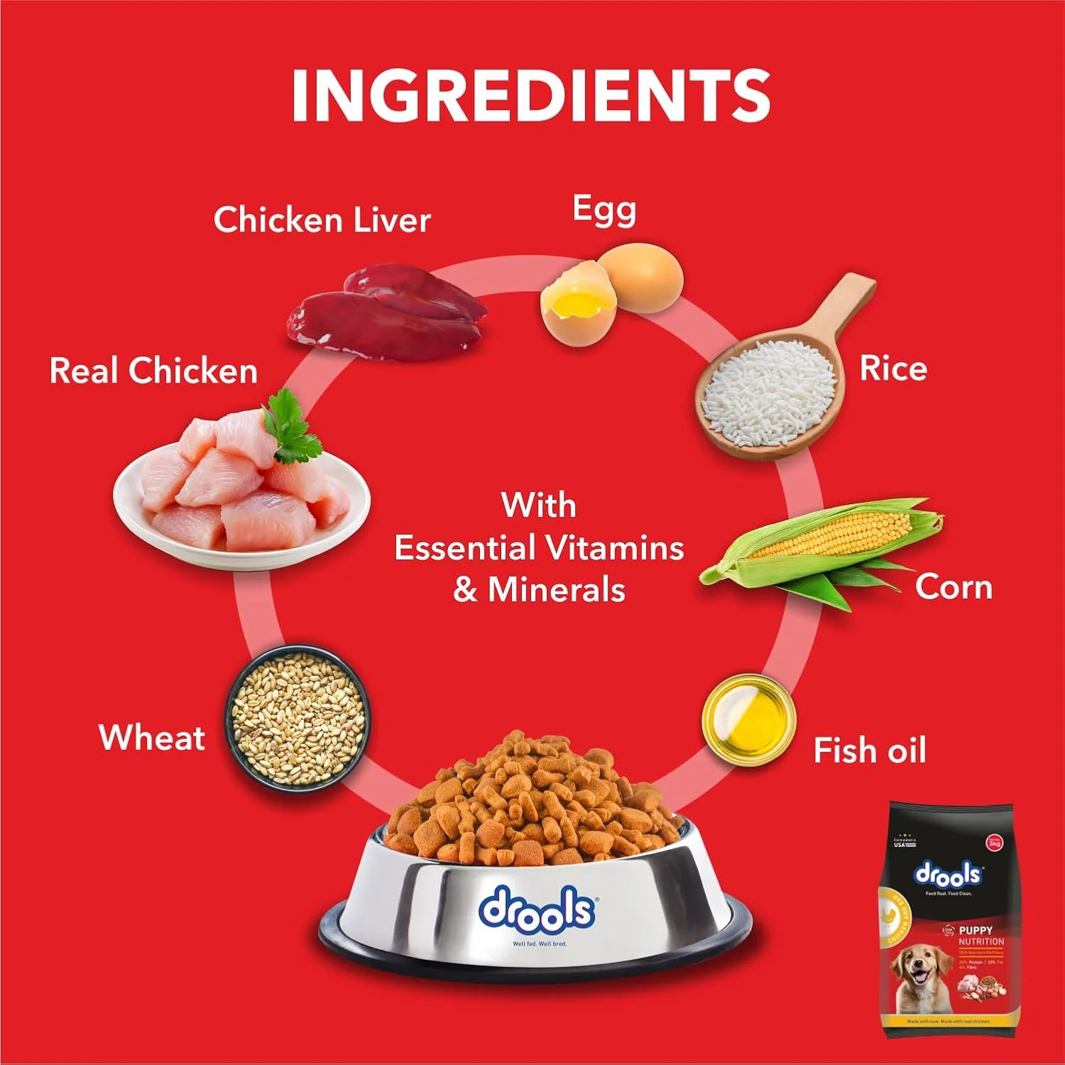 غذای خشک سگ توله درولز، مرغ و تخم مرغ، 1.2 کیلوگرم | 100% غذای کامل با مرغ واقعی | DHA برای رشد مغز، پروتئین بالا برای استخوان ها و رشد عضلات | هضم آسان