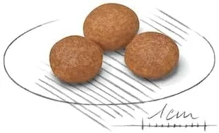 غذای خشک سگ بالغ نژاد خیلی کوچک بالای 8 سال رویال کنین - 1.5 کیلوگرم