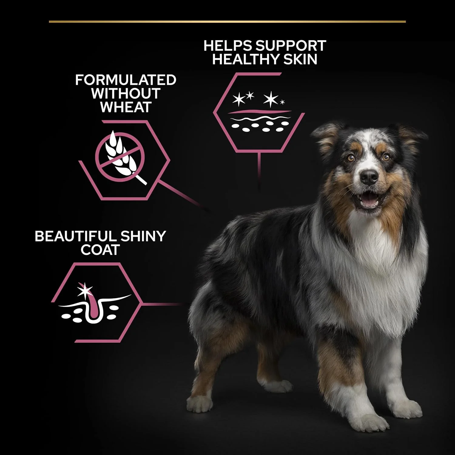 غذای خشک سگ بالغ با پوست حساس Purina Pro Plan، سایز متوسط، با طعم ماهی سالمون، 14 کیلوگرم