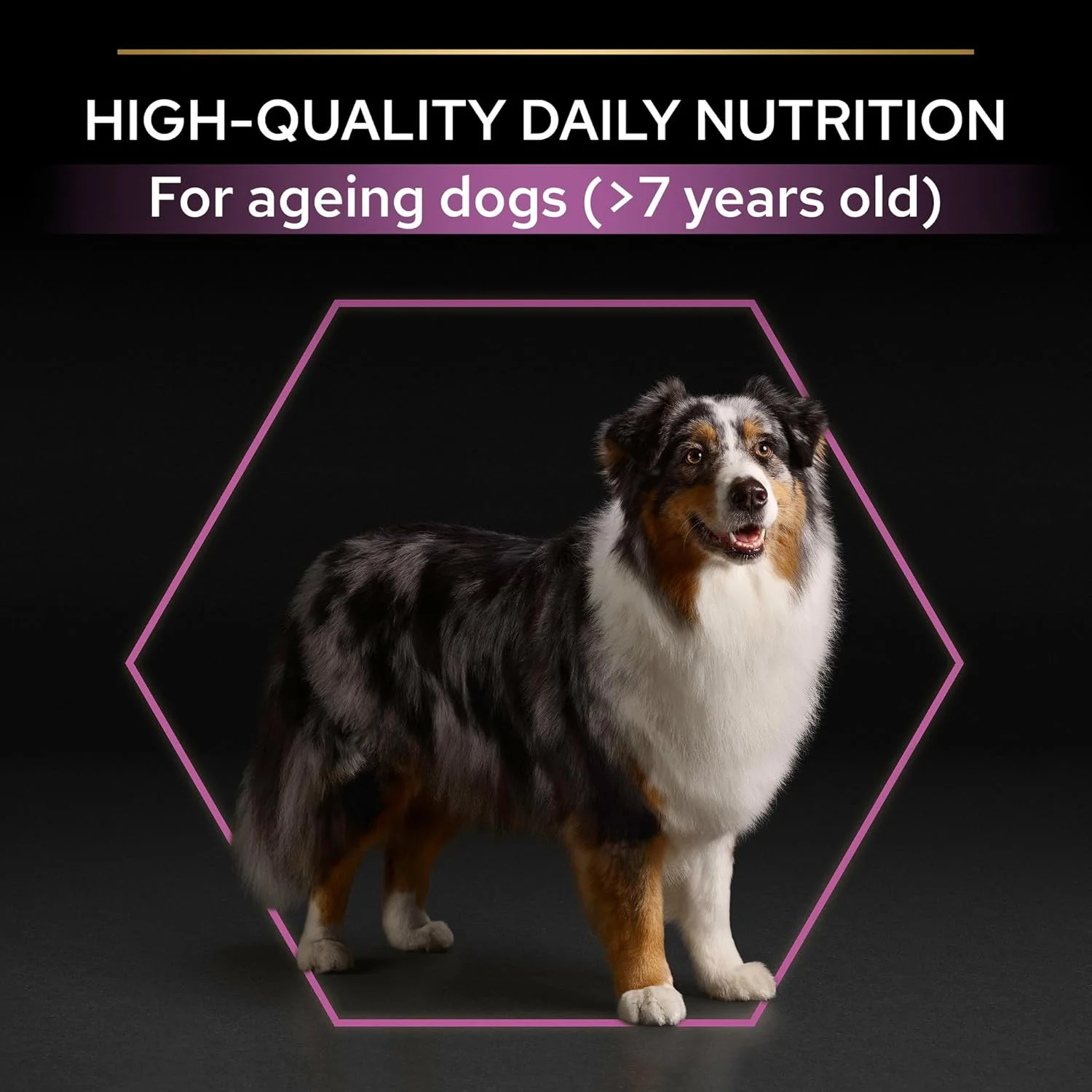 غذای خشک سگ بالای 7 سال نژاد متوسط و بزرگ با طعم مرغ Purina Pro Plan Age Defence، 14 کیلوگرم