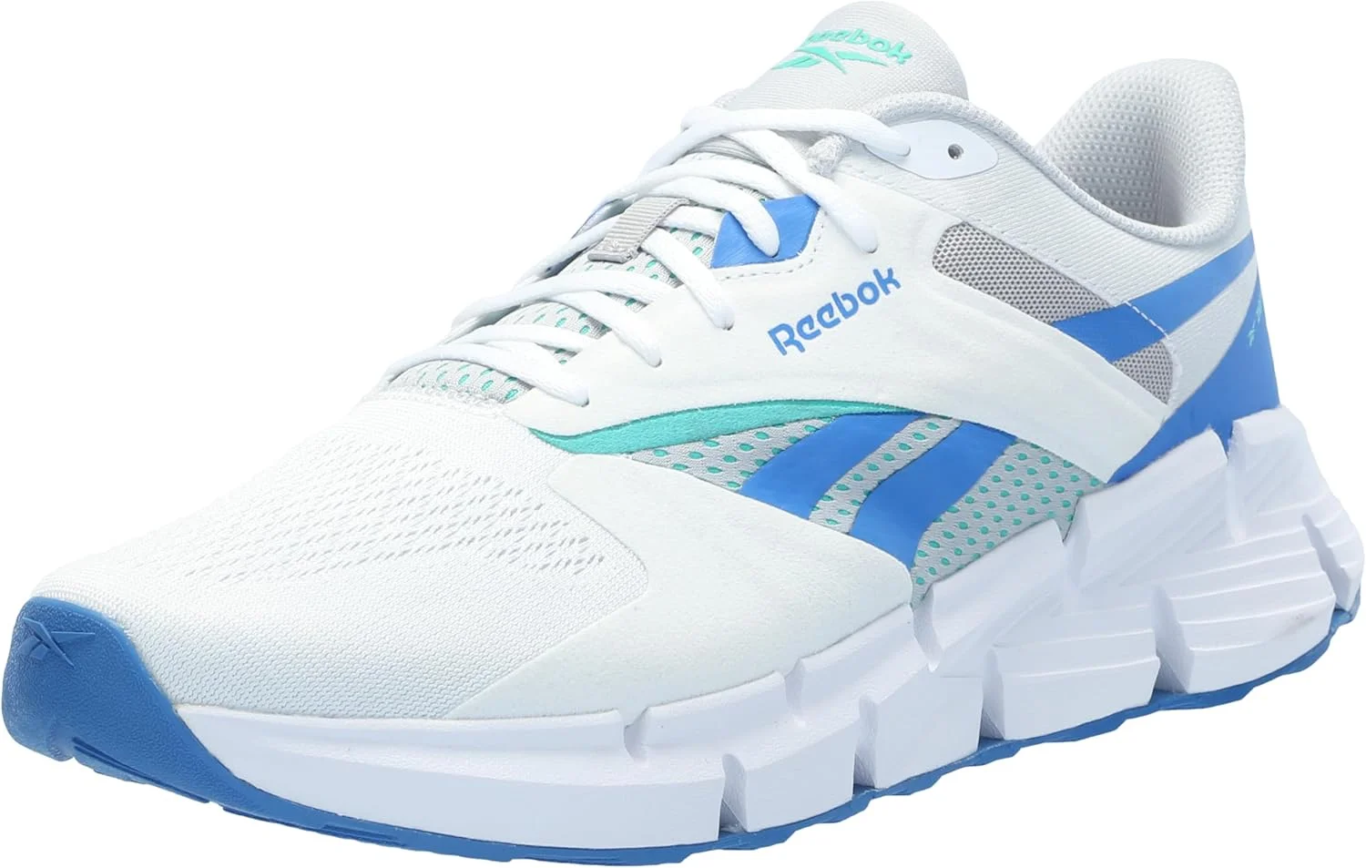 کفش ورزشی ریباک زیگ داینامیکا 5 унисекс-بزرگسال