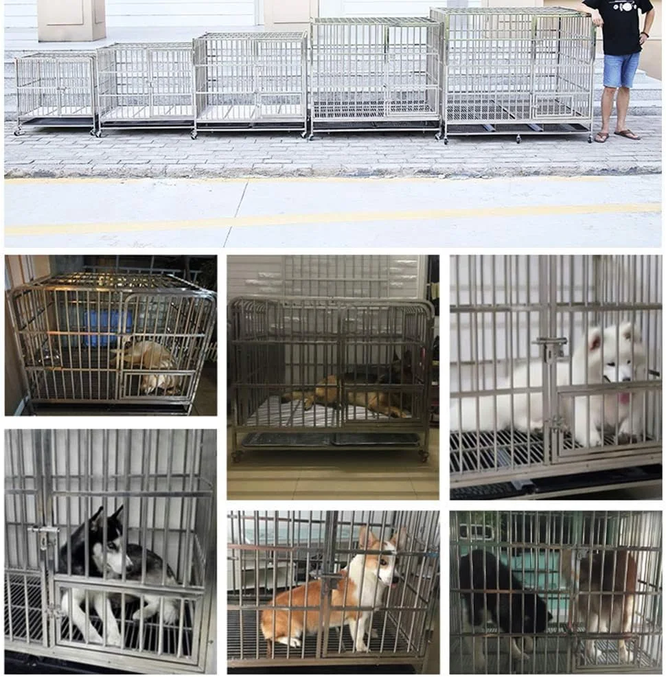 قفس حیوانات خانگی WYJW، باکس تاشو فلزی برای آموزش سگ و گربه، لانه سگ استیل ضد زنگ با سینی و چرخ، طراحی چند قفله با قابلیت باز شدن از بالا، سایز M