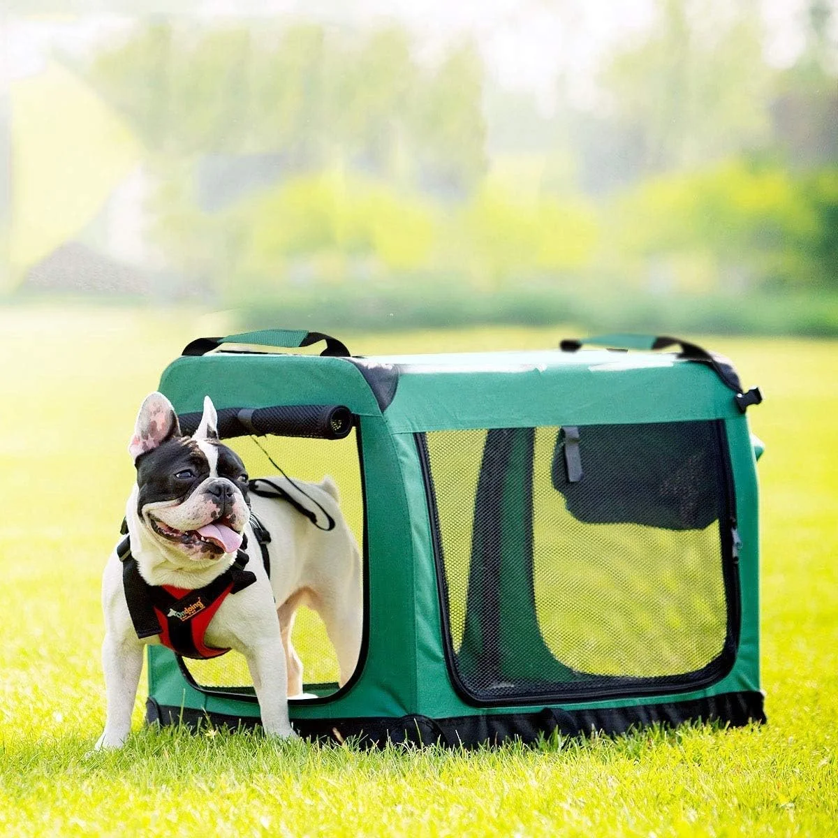 قفس تاشو حیوانات خانگی WYJW، قفس حیوانات خانگی استیل ضد زنگ مناسب خودرو، ساخته شده، محکم، تغییر شکل دادن آن آسان نیست، تاشو، بدون اشغال فضا، حمل آسان (رنگ: قهوه ای، سایز: L) (رنگ: قهوه ای، سایز: بزرگ)