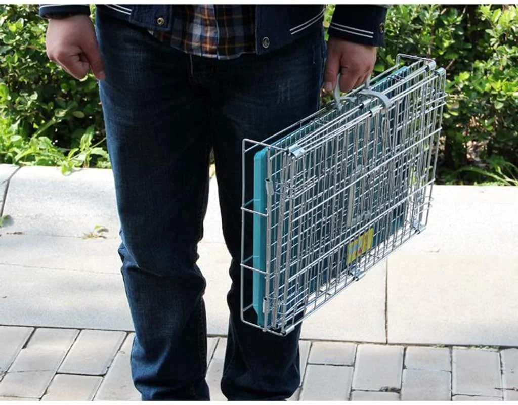 قفس سگ خانگی WYJW، محوطه بازی توله سگ تاشو، قفس حمل کننده باغ داخلی و خارجی، قفل درب آهنی فلزی با روکش قابل حمل، 61X43*50cm (اندازه: 91 * 56x68cm)