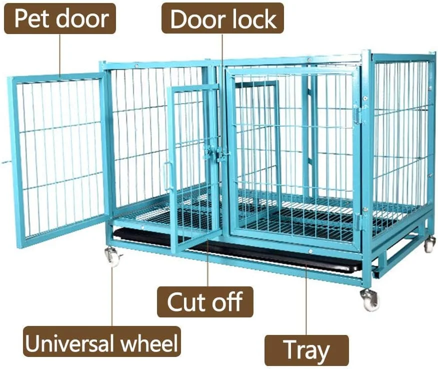 قفس سگ خانگی WYJW، قفس دو درب، باکس حمل توله سگ، آموزش لوکس، 2 طبقه، قفس فلزی، سینی تخت، محوطه بازی حیوانات با چرخ جهانی، آبی (رنگ: نقره ای) قفس سگ خانگی WYJW، قفس دو درب، باکس حمل توله سگ، آموزش لوکس، 2 طبقه، قفس فلزی، سینی تخت، محوطه بازی حیوانات با چرخ جهانی، آبی (رنگ: نقره ای)