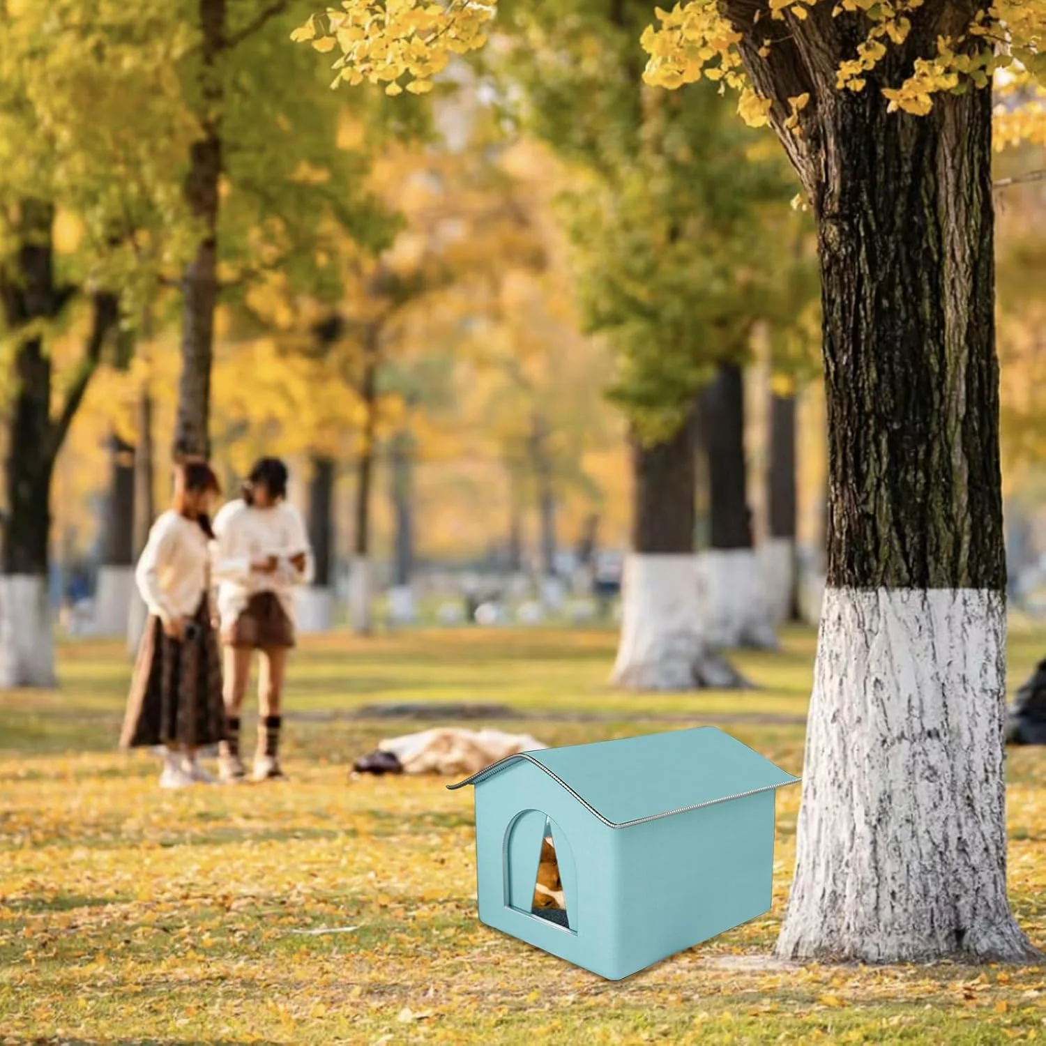 خانه گربه در فضای باز، خانه گربه ضد آب برای فضای باز، پناهگاه حیوانات خانگی تاشو گرم با پرده، غار گربه های وحشی قابل شستشو و مقاوم در برابر آب و هوا، خانه های حیوانات خانگی زمستانی برای سگ ها، گربه ها، خرگوش ها