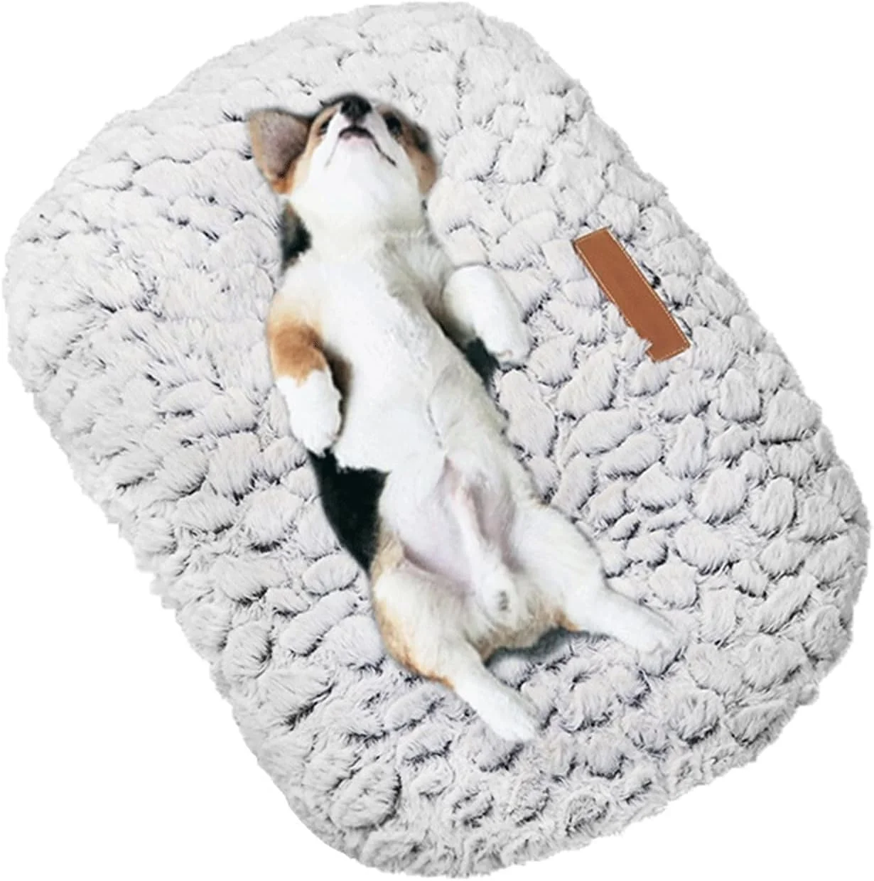 تخت خواب کوچک سگ VIZCO، تخت خواب نرم و مخملی سگ، پد لانه، تشک باکس، تشک ضخیم گربه و حیوانات خانگی، تشک پت، پتو بالش خواب برای توله سگ های کوچک و سگ های بزرگ (رنگ: سفید، سایز: M 50x70 سانتی متر) تخت خواب کوچک سگ VIZCO، تخت خواب نرم و مخملی سگ، پد لانه، تشک باکس، تشک ضخیم گربه و حیوانات خانگی، تشک پت، پتو بالش خواب برای توله سگ های کوچک و سگ های بزرگ (رنگ: سفید، سایز: M 50x70 سانتی متر)