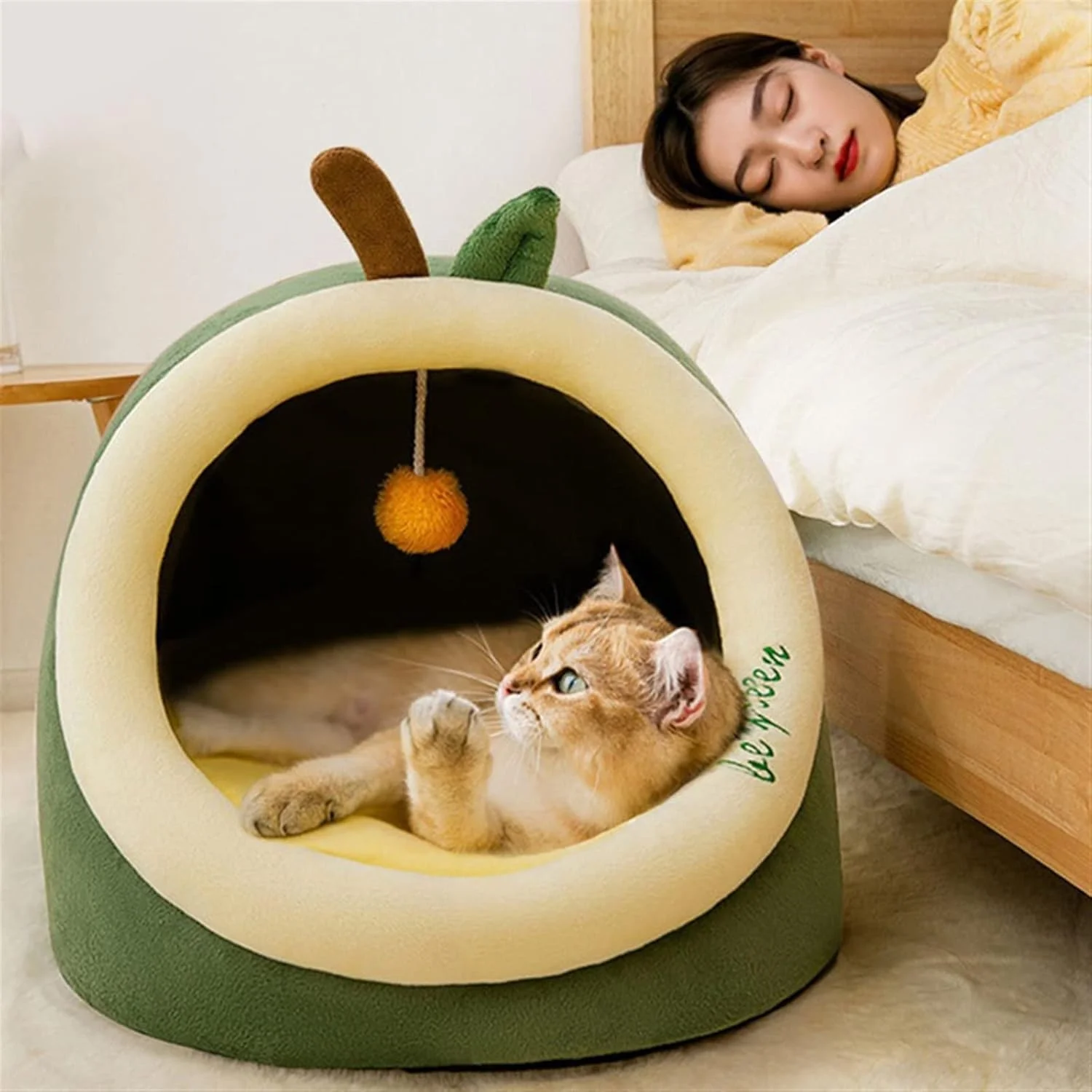 تخت خواب کوچک سگ VIZCO چهار فصل جهانی تخت خواب گرم گربه ها خانه گربه های ناز کیسه خواب بچه گربه سبد نرم سگ ها غار لوازم جانبی گربه حیوان خانگی خانه گربه (رنگ: Hortel، سایز: متوسط) تخت خواب کوچک سگ VIZCO چهار فصل جهانی تخت خواب گرم گربه ها خانه گربه های ناز کیسه خواب بچه گربه سبد نرم سگ ها غار لوازم جانبی گربه حیوان خانگی خانه گربه (رنگ: Hortel، سایز: متوسط)