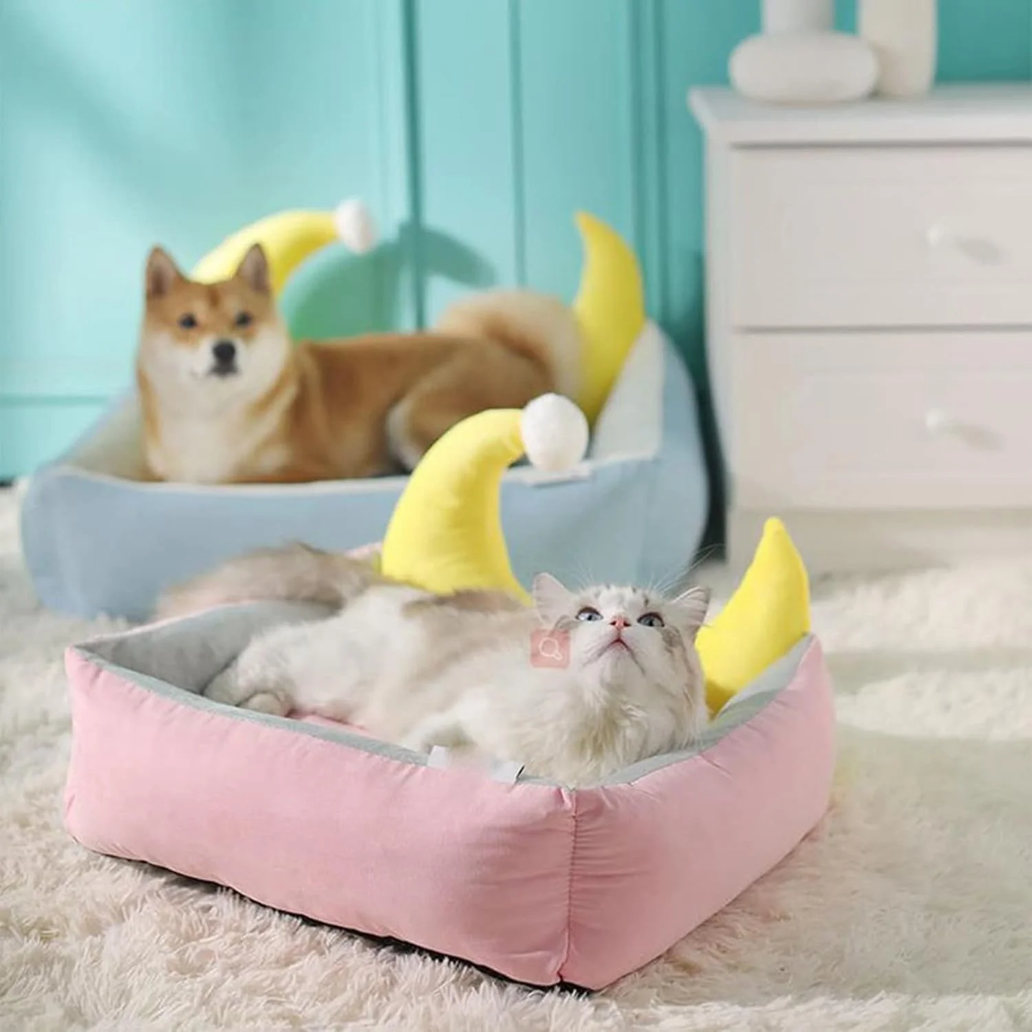 خانه تخت خواب سگ کوچک VIZCO، تخت خواب گربه، لانه مخملی نرم، تخت خواب گرم سگ و گربه در زمستان، تشک خواب قابل جابجایی و شستشو برای حیوانات خانگی (رنگ: آبی تیره، سایز: خیلی بزرگ)