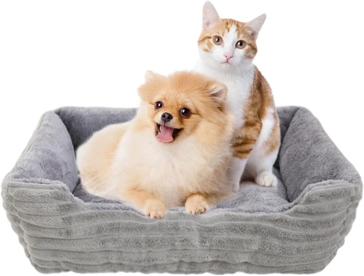 ویژگی های کوچک سگ تخت حیوان خانگی گربه و سگ تشک مربعی نرم مخمل خواب دار لانه سگ مناسب برای سگ های کوچک و متوسط، گربه ها و لوازم جانبی توله سگ خانه خواب حیوانات خانگی (سایز: خیلی بزرگ)