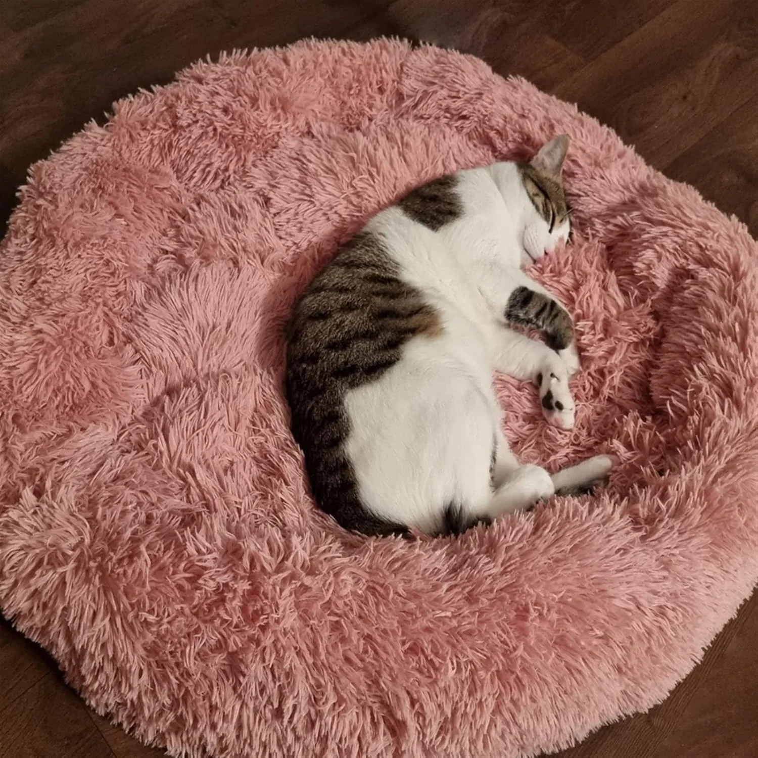 ویژگی های VIZCO تخت خواب کوچک سگ گربه فوق العاده نرم تخت حیوان خانگی سگ بزرگ خانه بچه گربه بالش گرد مخملی مبل زمستانی گرم لوازم حیوانات خانگی (رنگ: صورتی، سایز: XX-بزرگ)