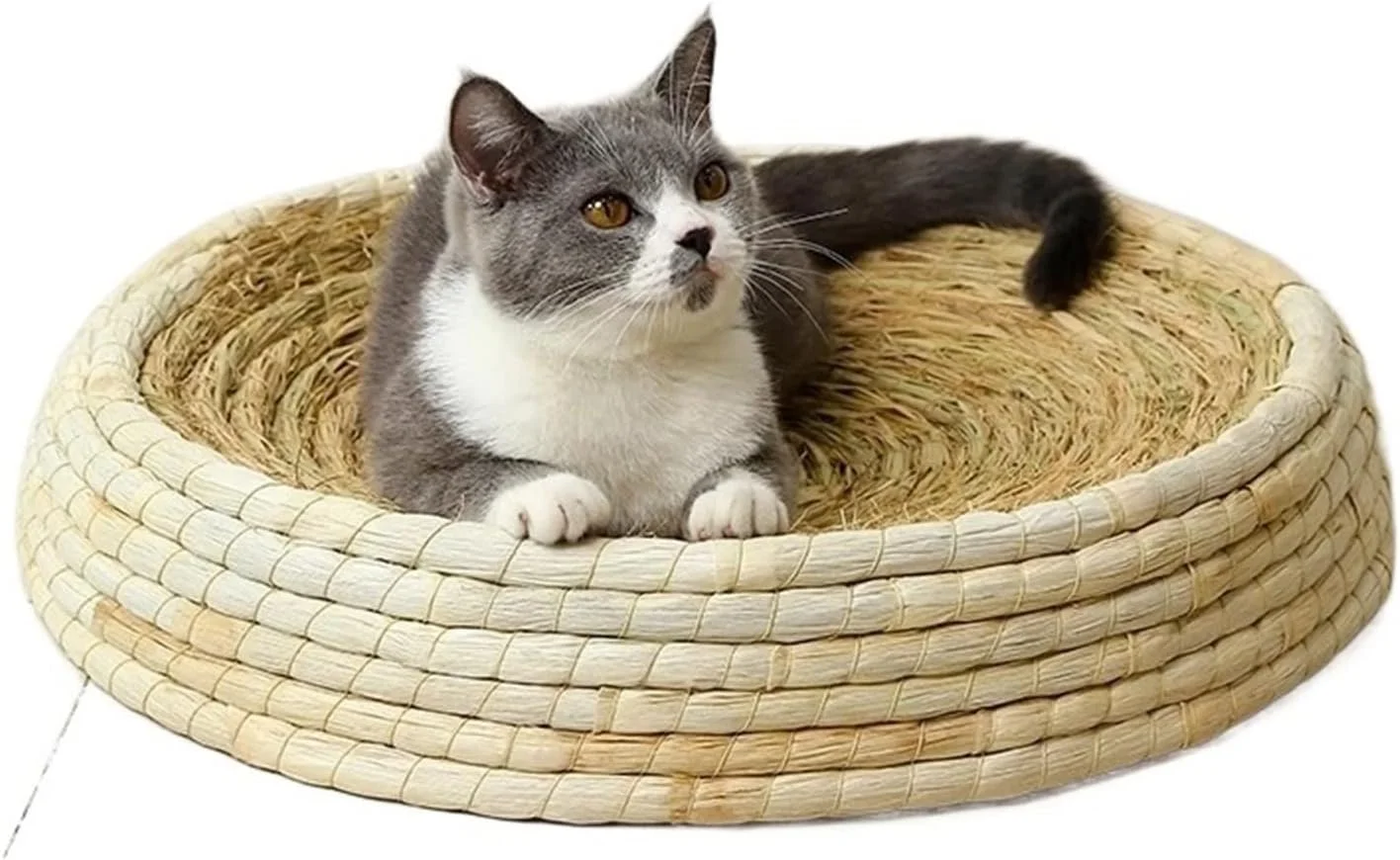 تخت خواب کوچک سگ VIZCO، تخت خواب دست ساز گربه، پد خراش، تخت خواب حصیری حیوانات خانگی، خانه بچه گربه، اسباب بازی گرد نعناع گربه، اسباب بازی پنجه آسیاب، لوازم حیوانات خانگی (سایز: کوچک)