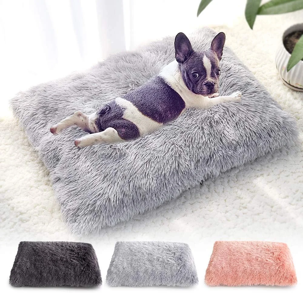 تخت خواب کوچک سگ VIZCO، تخت خواب مخمل خواب دار سگ، پتو کوسن حیوانات خانگی، کوسن پشمی نرم گربه، کوسن مبل توله سگ مناسب برای سگ های کوچک و بزرگ (رنگ: خاکستری تیره، سایز: L) تخت خواب کوچک سگ VIZCO، تخت خواب مخمل خواب دار سگ، پتو کوسن حیوانات خانگی، کوسن پشمی نرم گربه، کوسن مبل توله سگ مناسب برای سگ های کوچک و بزرگ (رنگ: خاکستری تیره، سایز: L)
