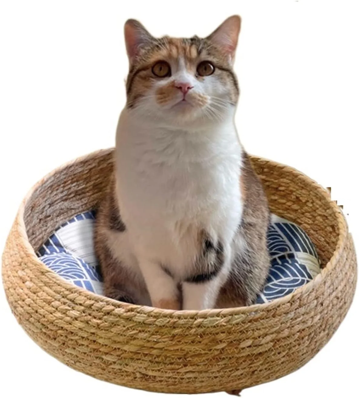 ویژکو تخت خواب کوچک سگ، تخت حیوانات خانگی، لوازم جانبی گربه، خانه تخت سگ، لانه دست ساز، مبل، کیسه لانه راحت چهار فصل (سایز: کوچک)