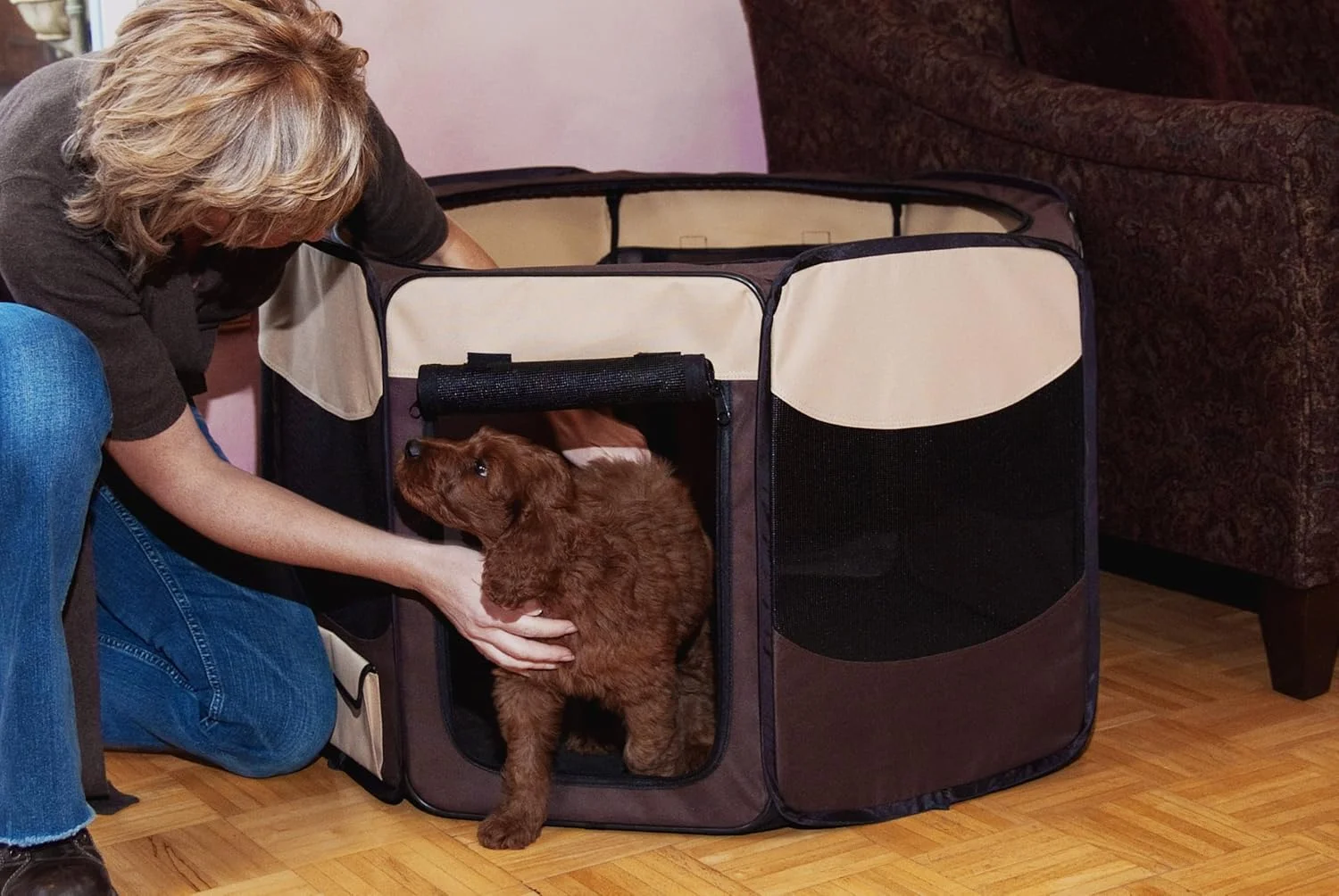 محوطه بازی قابل حمل و سبک Pet Gear Travel Lite / باکس نرم با سایبان جداشدنی، TL4129SA
